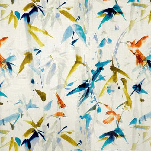 Hummingbird-Summer